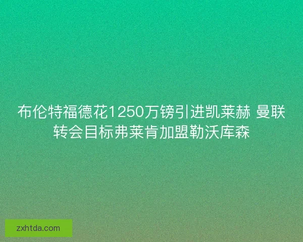 布伦特福德花1250万镑引进凯莱赫 曼联转会目标弗莱肯加盟勒沃库森